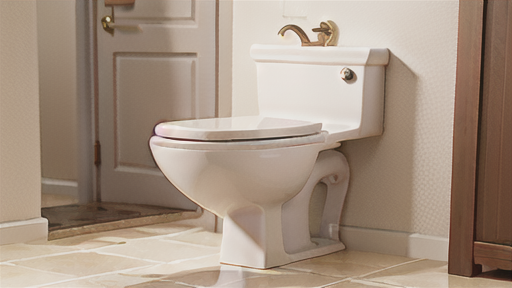 ラバトリーを清潔に保つためのヒント